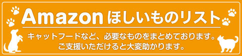 画像に alt 属性が指定されていません。ファイル名: image.jpeg